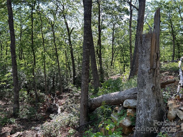 000 Jacks Paw Ln Unit 8, Hendersonville, NC 28792 - photo 5