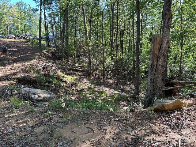 000 Jacks Paw Ln Unit 8, Hendersonville, NC 28792 - photo 6