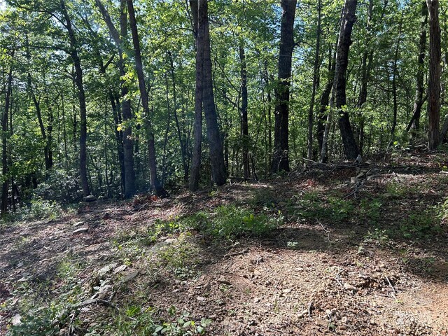 000 Jacks Paw Ln Unit 8, Hendersonville, NC 28792 - photo 7