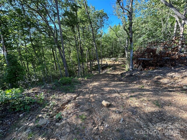 000 Jacks Paw Ln Unit 8, Hendersonville, NC 28792 - photo 9