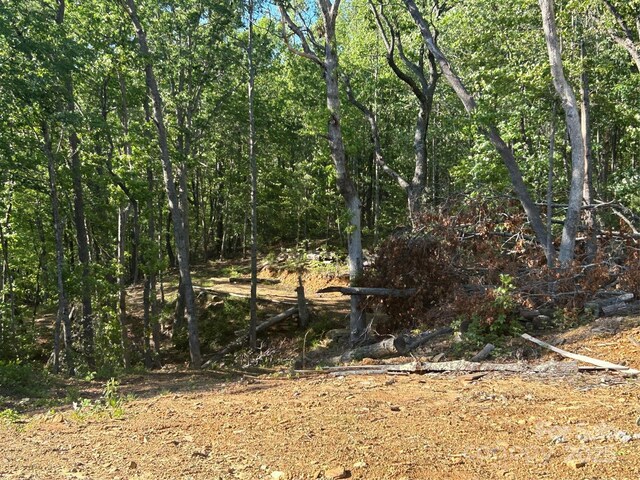 000 Jacks Paw Ln Unit 8, Hendersonville, NC 28792 - photo 10