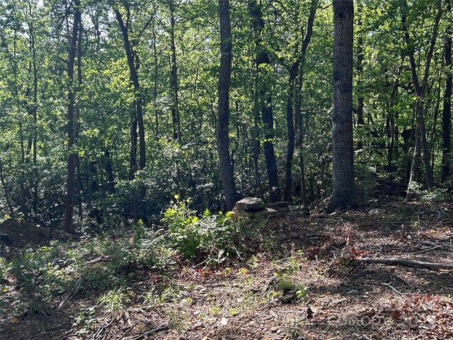 000 Jacks Paw Ln Unit 8, Hendersonville, NC 28792 - photo 11