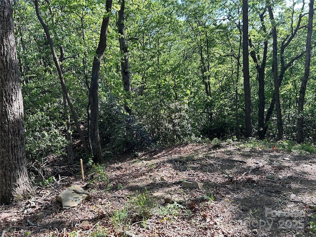 000 Jacks Paw Ln Unit 8, Hendersonville, NC 28792 - photo 12