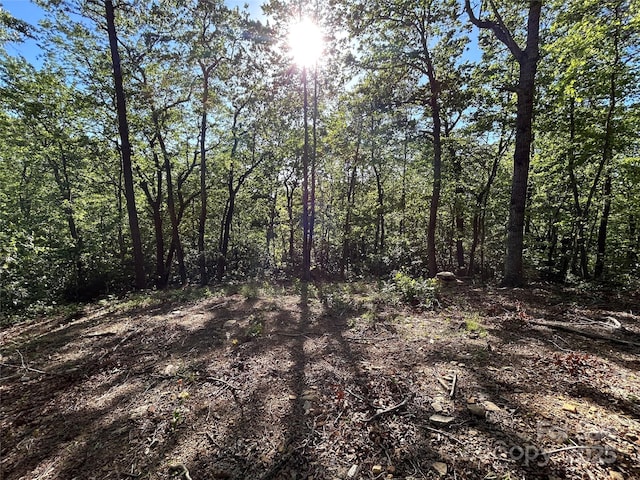 000 Jacks Paw Ln Unit 8, Hendersonville, NC 28792 - photo 2