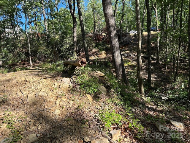000 Jacks Paw Ln Unit 8, Hendersonville, NC 28792 - photo 3