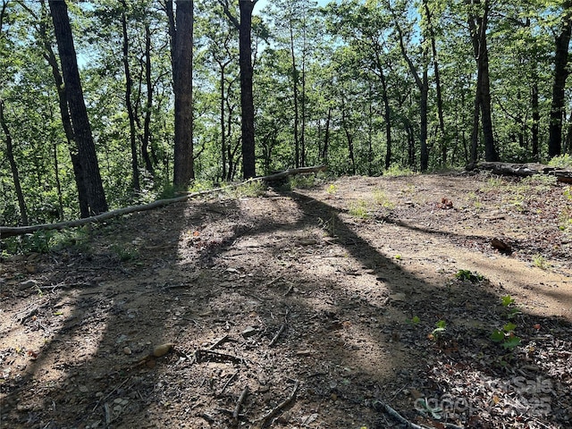 000 Jacks Paw Ln Unit 8, Hendersonville, NC 28792 - photo 4