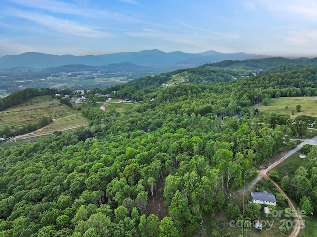 000 Jacks Paw Ln Unit 8, Hendersonville, NC 28792 - photo 1