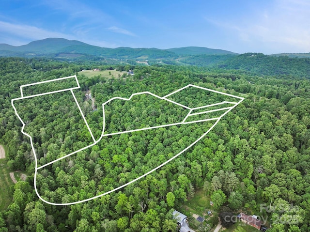 000 Jacks Paw Ln Unit 8, Hendersonville, NC 28792 - photo 13