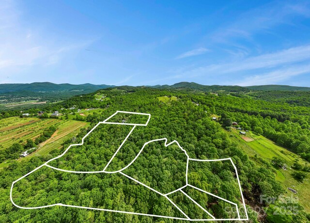 000 Jacks Paw Ln Unit 8, Hendersonville, NC 28792 - photo 14