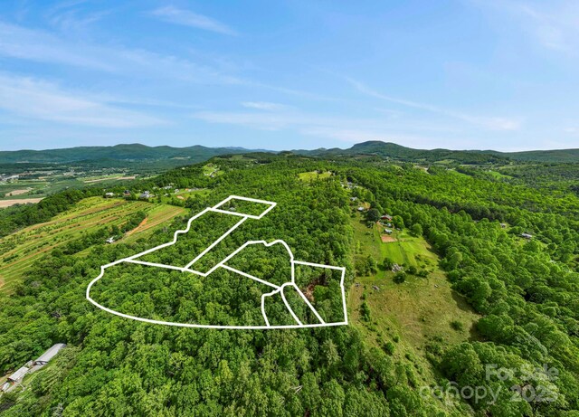 000 Jacks Paw Ln Unit 8, Hendersonville, NC 28792 - photo 15