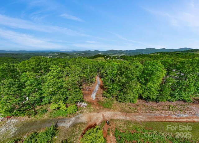 000 Jacks Paw Ln Unit 8, Hendersonville, NC 28792 - photo 16