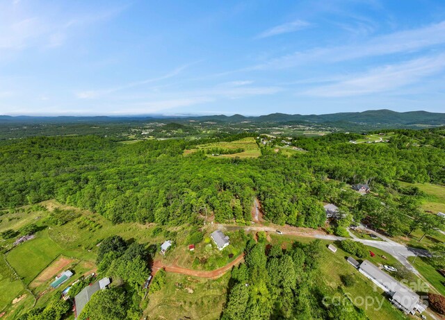 000 Jacks Paw Ln Unit 8, Hendersonville, NC 28792 - photo 18