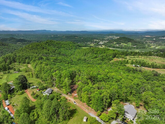 000 Jacks Paw Ln Unit 8, Hendersonville, NC 28792 - photo 19