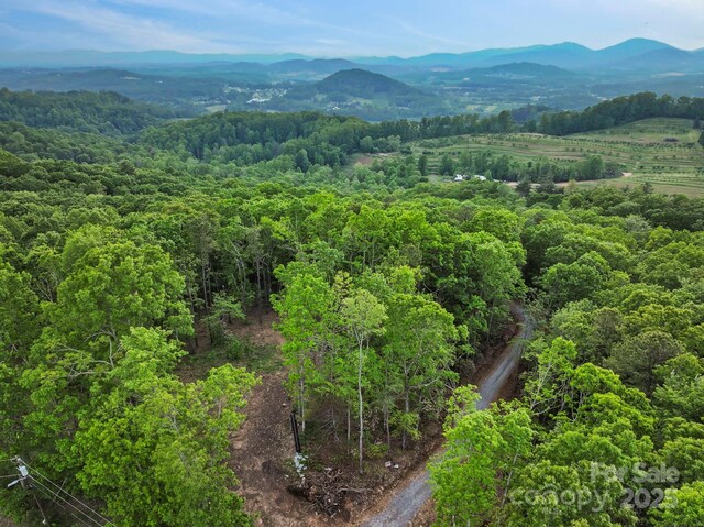 000 Jacks Paw Ln Unit 8, Hendersonville, NC 28792 - photo 20