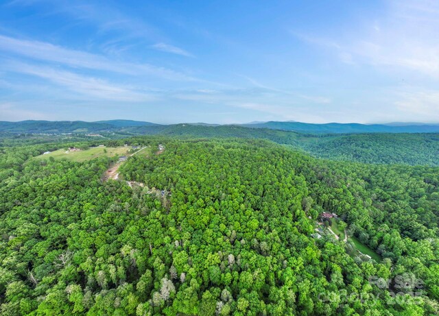 000 Jacks Paw Ln Unit 8, Hendersonville, NC 28792 - photo 21