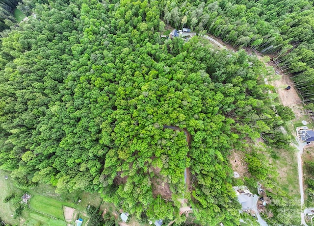 000 Jacks Paw Ln Unit 8, Hendersonville, NC 28792 - photo 22