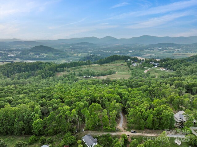 000 Jacks Paw Ln Unit 8, Hendersonville, NC 28792 - photo 23