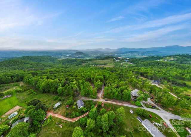000 Jacks Paw Ln Unit 8, Hendersonville, NC 28792 - photo 24