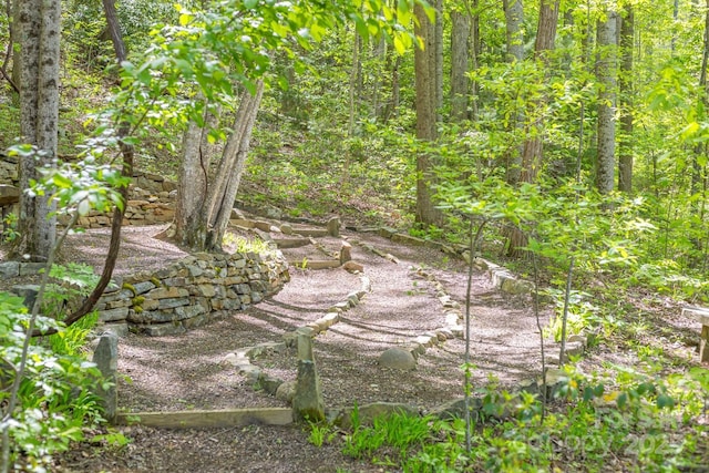 425 Bull Creek Rd, Asheville, NC 28805 - photo 22