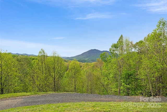 630 Graybeal Holw, Creston, NC 28615 - mountain view with a heavily wooded area
