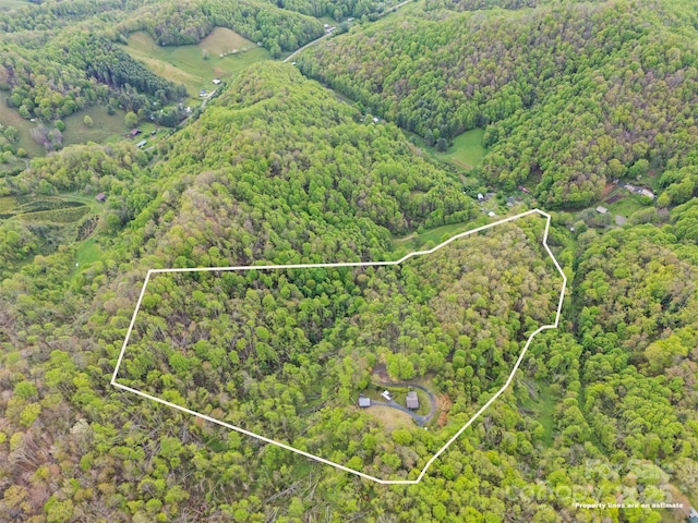 630 Graybeal Holw, Creston, NC 28615 - aerial view of property and surrounding area with a heavily wooded area and property parcel outlined