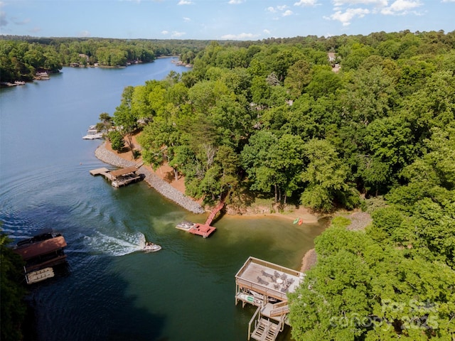 aerial view with a water view and a view of trees