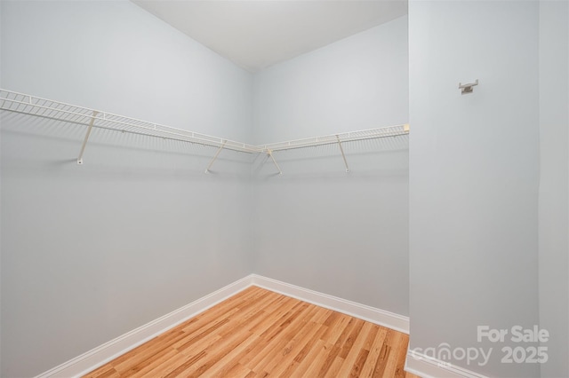 spacious closet featuring light wood-style floors