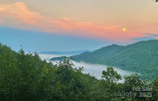 605 Upper Sondley Dr, Asheville, NC 28805 - photo 8