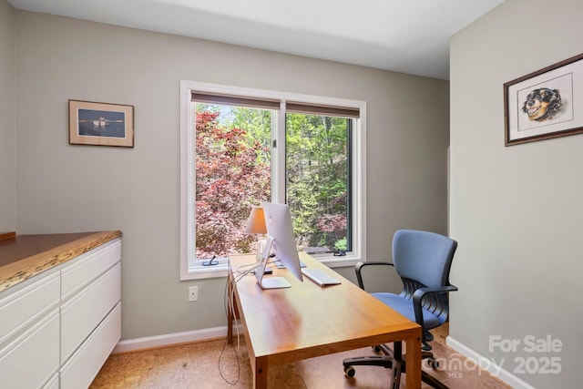 605 Upper Sondley Dr, Asheville, NC 28805 - photo 27