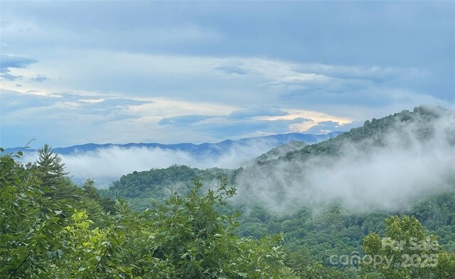 605 Upper Sondley Dr, Asheville, NC 28805 - photo 43