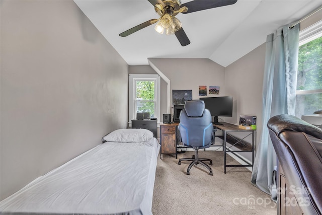 bedroom with carpet floors, multiple windows, a ceiling fan, and lofted ceiling