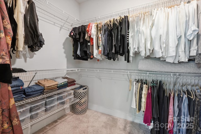 spacious closet with carpet flooring