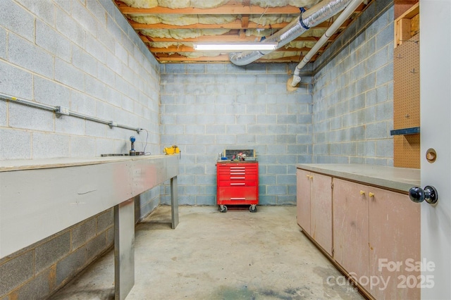 unfinished below grade area with a workshop area
