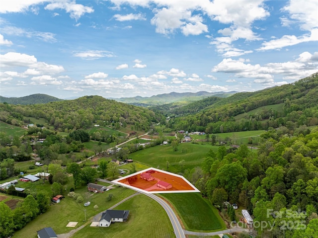 bird's eye view with a view of trees and a mountain view