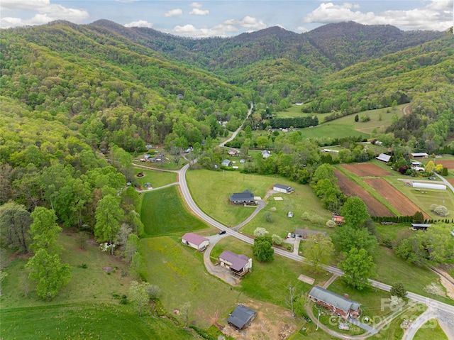 birds eye view of property with a view of trees and a mountain view