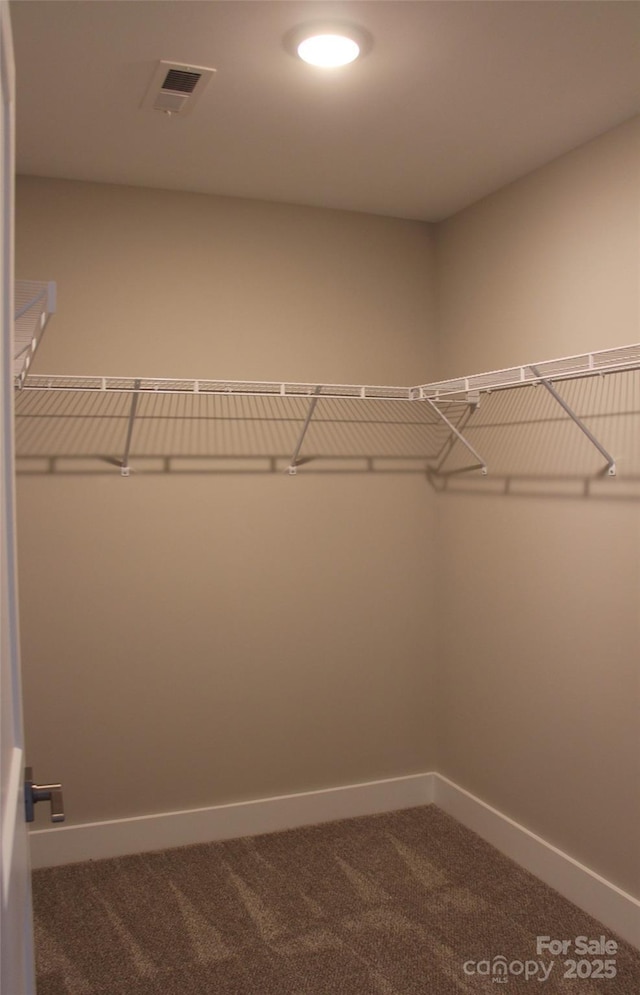spacious closet featuring visible vents and carpet