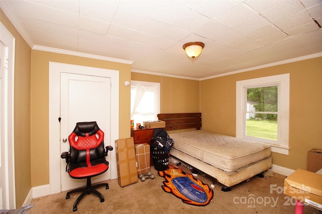 615 Mauney Ave, Kings Mountain, NC 28086 - bedroom with crown molding and carpet floors