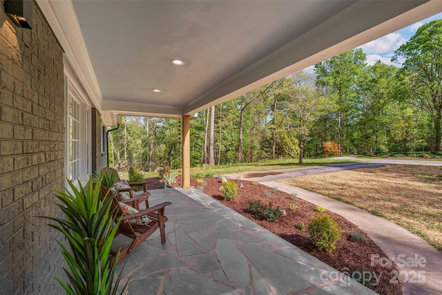75 White Pine Dr, Fletcher, NC 28732 - view of patio / terrace