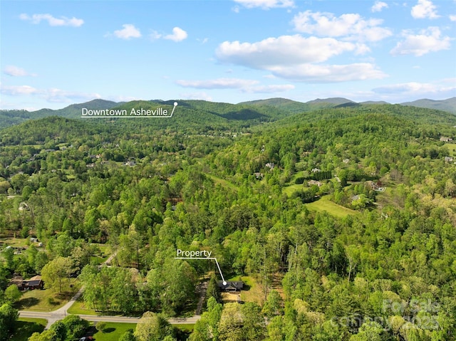 75 White Pine Dr, Fletcher, NC 28732 - birds eye view of property featuring a view of trees and a mountain view