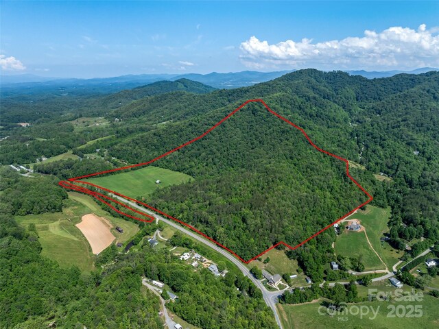 bird's eye view featuring a mountain view and a wooded view