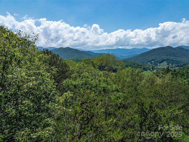 mountain view featuring a forest view
