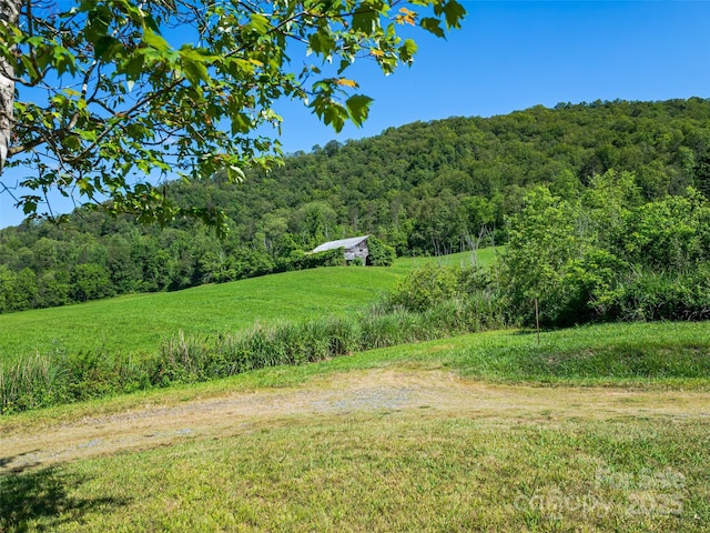 view of yard featuring a forest view