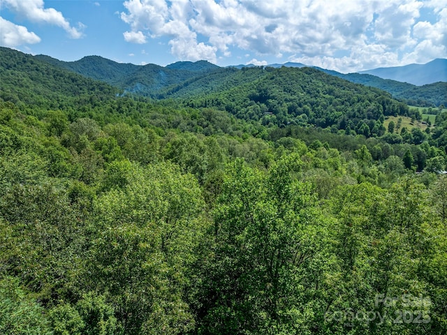 mountain view featuring a view of trees