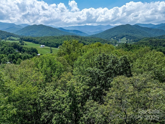 mountain view featuring a forest view