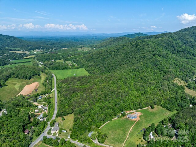 drone / aerial view featuring a mountain view and a forest view