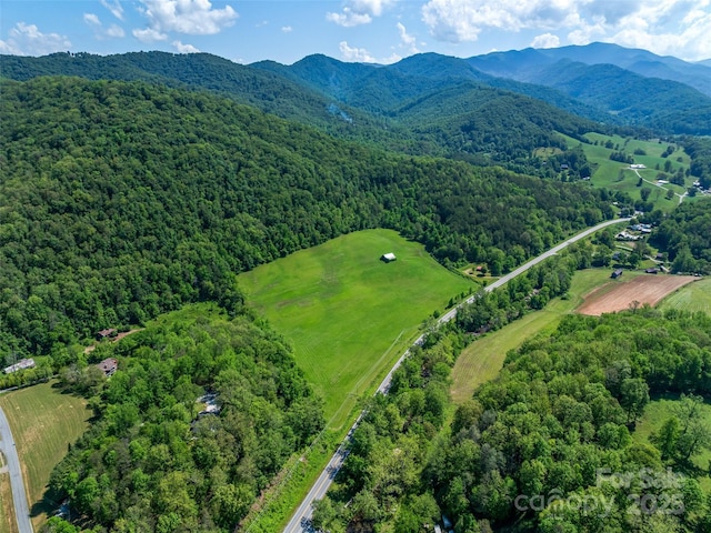 bird's eye view with a mountain view and a view of trees