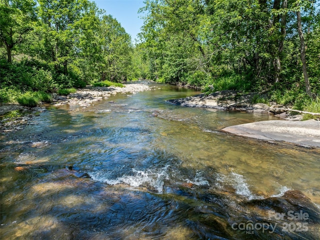 view of water feature featuring a wooded view