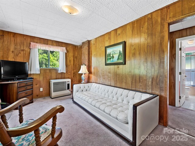 living room with carpet, wooden walls, and a wealth of natural light