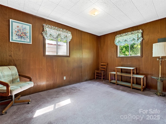 sitting room featuring wooden walls, a wealth of natural light, and carpet floors