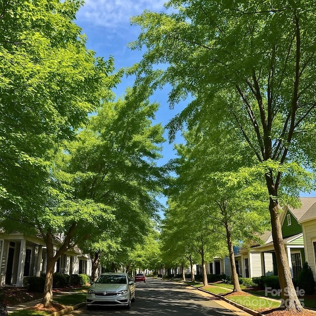 240 Faust Rd, Davidson, NC 28036 - view of community